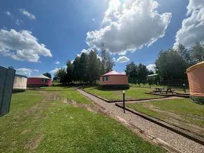 a field with two tents and a picnic table at Brzozowy Zagajnik in Inwałd