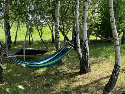a hammock hanging between trees in a forest at Brzozowy Zagajnik in Inwałd