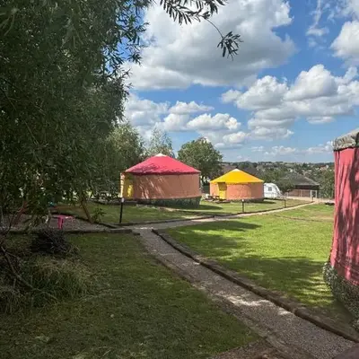 Brzozowy Zagajnik