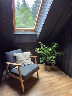 a chair and a plant in a room with a window at Chillout Kocoń nowoczesny dom w górach in Kocoń