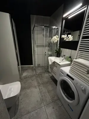a bathroom with a shower and a washing machine at Vetaluniego Apartment High quality in Kraków