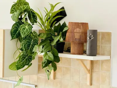 a shelf with plants and a lamp on it at Best Rest Kraków in Kraków