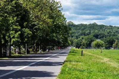 a road with trees on the side of a field at Apartament Green Old Town Krakow in Kraków