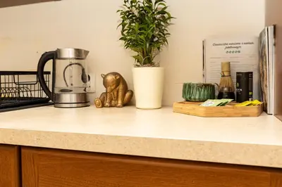 a figurine of a cat sitting on a kitchen counter at Apartament Kraków - Cracow Apartment 70m2 in Kraków