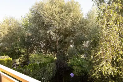 a tree in the middle of a garden at Apartament Kraków - Cracow Apartment 70m2 in Kraków