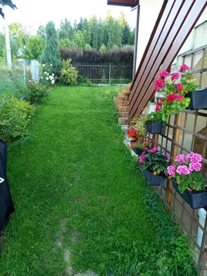 a garden with flowers on the side of a house at Apartament Gorczański Widok in Nowy Targ