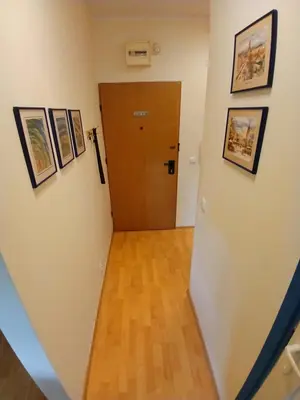 a hallway with a door and paintings on the walls at Meadow View 10 in Kraków
