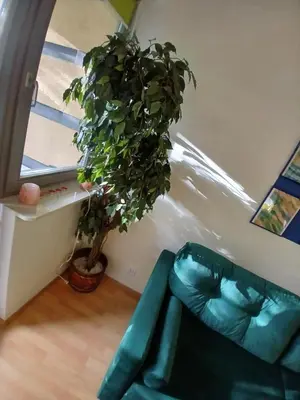 a green couch in a room with a potted plant at Meadow View 10 in Kraków