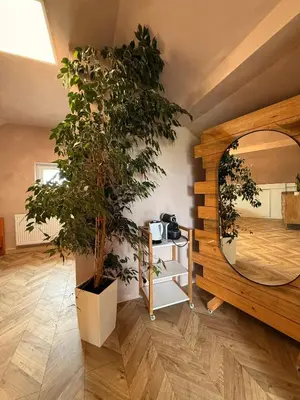 a room with a mirror and a potted plant at Apartament pod miastem in Lanckorona