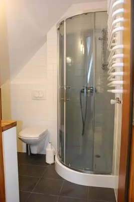a bathroom with a shower and a toilet at Garden Apartament Kurnik in Stróża
