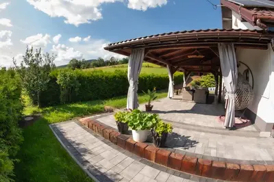 a pergola with potted plants on a patio at Dom w Chomranicach- Jacuzzi, domek grillowy in Chomranice
