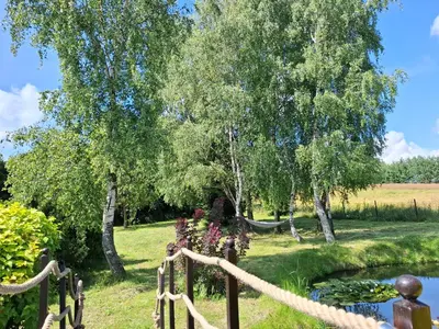 a garden with a pond and trees and a rope fence at Apartamenty TUTERRA I in Zabagnie