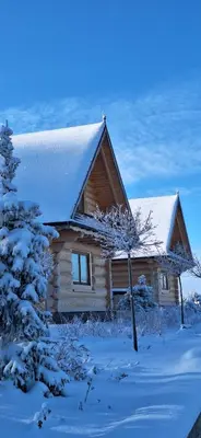 a log cabin in the snow with a tree at Babi czas in Podsarnie