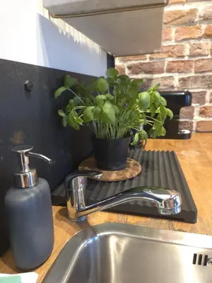 a sink with a soap dispenser and a plant on a counter at Różana Near Wawel Castle in Kraków