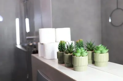 four green plants sitting on a counter in a bathroom at Różana Near Wawel Castle in Kraków