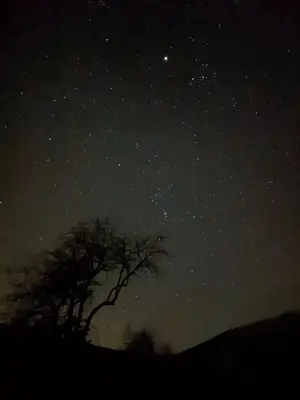 a starry night with a tree in the foreground at Arkadia pod Diablakiem in Zawoja