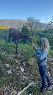 a young girl feeding a deer in a field at Arkadia pod Diablakiem in Zawoja