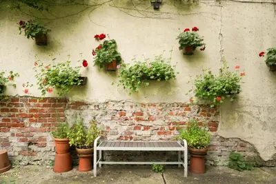 a brick wall with potted plants and a bench at Apartment for 12 guests in city center in Kraków