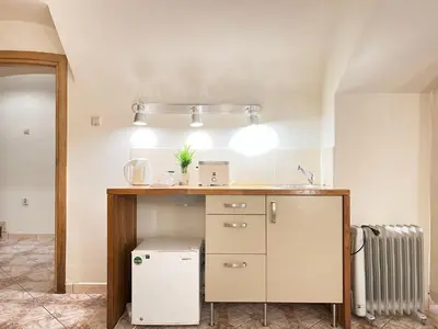 a kitchen with a counter and a small refrigerator at Apartment for 12 guests in city center in Kraków