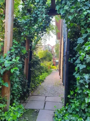 an ivy covered alley way with an open door at Bagry Rooms in Kraków