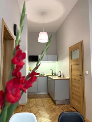 a kitchen with red flowers in the foreground at Przytulne mieszkania na wynajem in Kraków