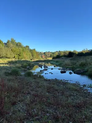 a river in the middle of a field at Domki nad Krzyworzeką in Dobczyce