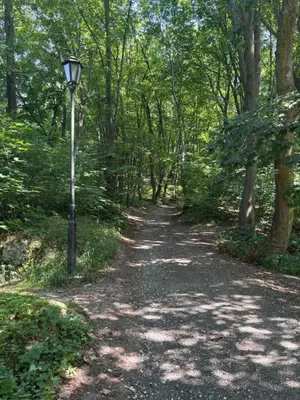 a path in a park with a street light at Korzkiewka in Korzkiew