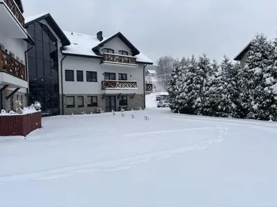 a group of birds walking around a snow covered yard at Babia Perła Zawoja in Zawoja