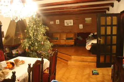 a living room with a christmas tree in a room at A BEAUTIFUL HOUSE near AIRPORT KRAKOW-BALICE