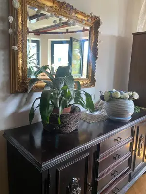 a mirror on top of a dresser with a plant on it at A BEAUTIFUL HOUSE near AIRPORT KRAKOW-BALICE