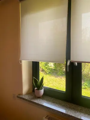 a window with a plant sitting on a window sill at A BEAUTIFUL HOUSE near AIRPORT KRAKOW-BALICE