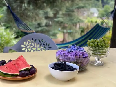 a table with a plate of fruit and a bowl of grapes at A BEAUTIFUL HOUSE near AIRPORT KRAKOW-BALICE