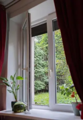 a window with a plant sitting on a window sill at Langiewicza paradise in Kraków