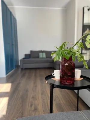a living room with a table with a plant in a vase at Traugutta 24 Przytulny Apartament z Biurkiem i Sypialnią by Noclegi Renters in Kraków