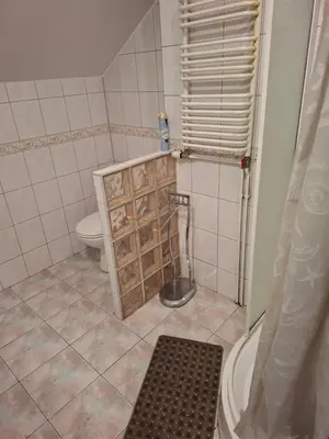 a small bathroom with a toilet and a shower at Pokoje u Zbigniewa