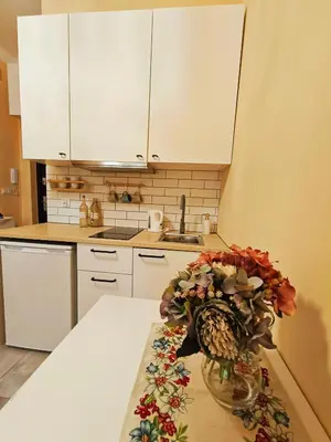 a kitchen with a vase of flowers on a table at Apartament Kataryniarza in Kraków