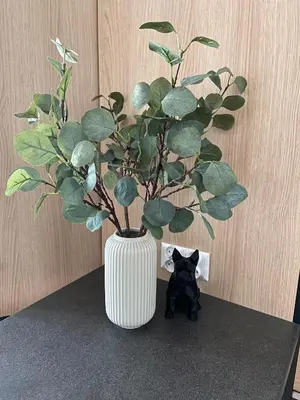 a black cat sitting next to a vase with a plant at Vistula Apartment Kazimierz Old Town in Kraków
