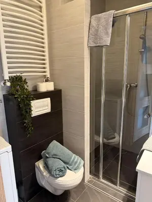 a bathroom with a glass shower and a toilet at Vistula Apartment Kazimierz Old Town in Kraków