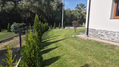 a yard with green grass and trees and a building at Relaks Nad Potokiem in Sidzina