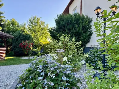 a garden with blue flowers and a street light at Apartamenty Podlesie in Przeciszów