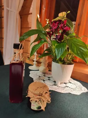 a window sill with a vase of flowers and a lamp at Sielanka, wyjątkowy dom, jacuzzi in Ślemień