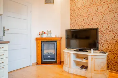 a living room with a tv and a fireplace at Kraków Centrum Free Parking 5 min do Rynku in Kraków