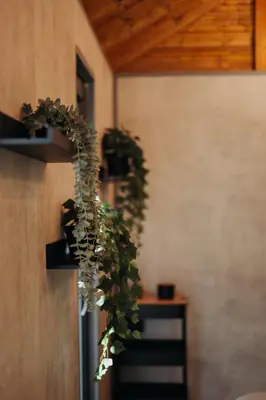 a reflection of a window with a plant in a vase at Honey House Wierchy- prywatna strefa SPA in Jaszczurowa
