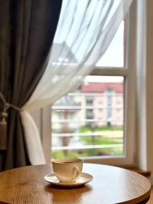 a cup on a plate on a table in front of a window at Apartament Zagrodowa in Oświęcim