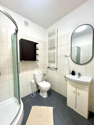 a bathroom with a toilet and a sink and a mirror at Apartament Zagrodowa in Oświęcim