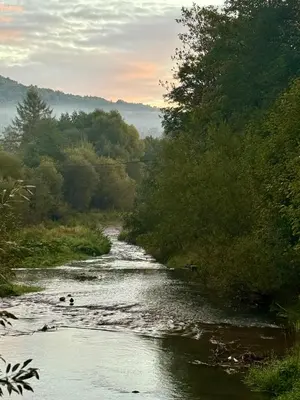 a river with trees on the side of it at Villa Pippi in Tokarnia