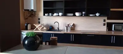a kitchen with a sink and a vase on a counter at Rembrandt Hostel in Kraków