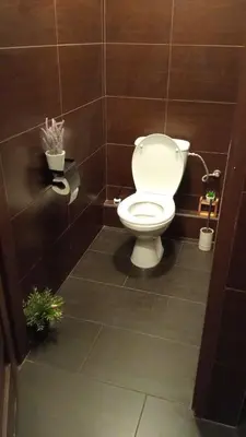 a bathroom with a toilet and two plants in it at Rembrandt Hostel in Kraków