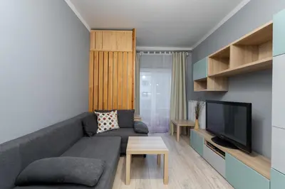 a living room with a couch and a tv at Dębniki Comfort Studio by BookingHost in Kraków