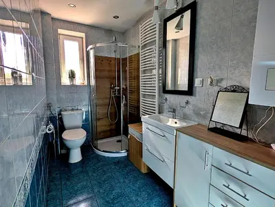 a bathroom with a shower and a toilet and a sink at Dom w Kryspinowie in Kryspinów